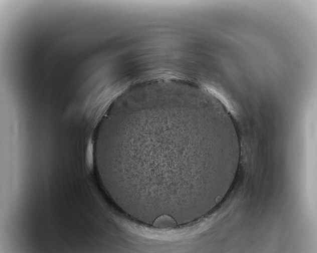X0000093430014200710191035