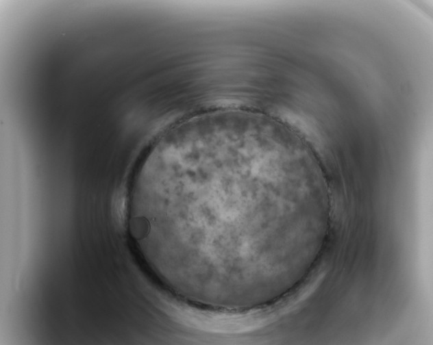 X0000093430016200710191035