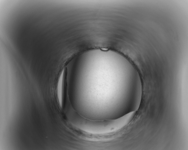 X0000093430017200710191035