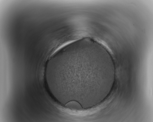 X0000093430018200710191035