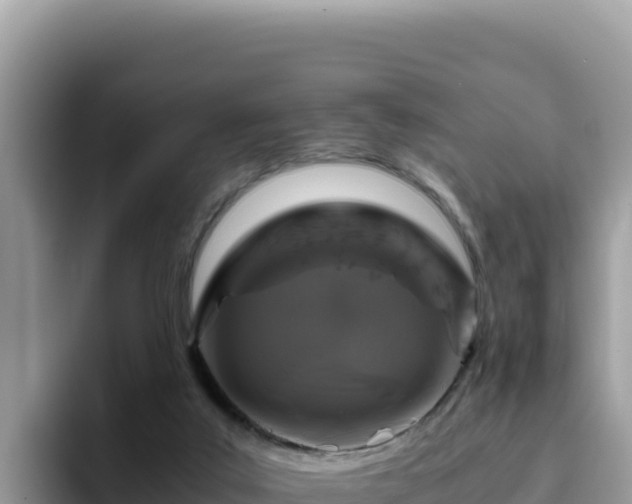 X0000093430019200710191035