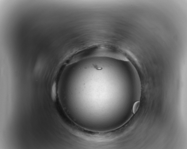 X0000093430020200710191035