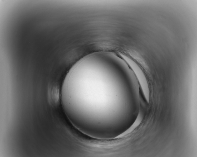 X0000093430021200710191035