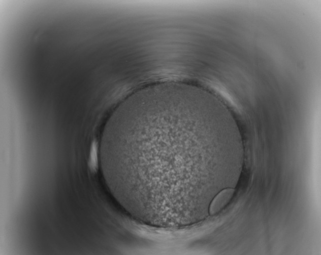 X0000093430022200710191035