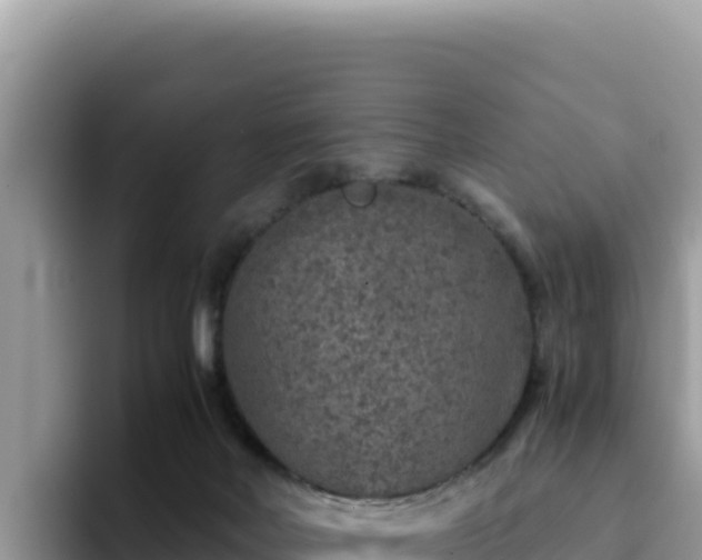 X0000093430026200710191035