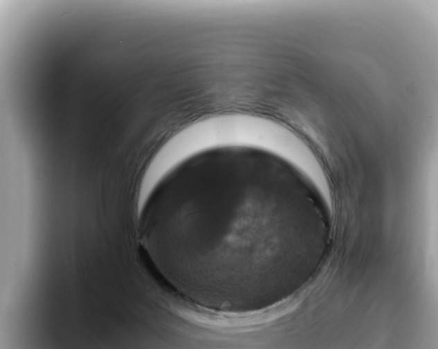 X0000093430027200710191035