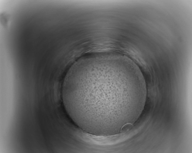 X0000093430030200710191035