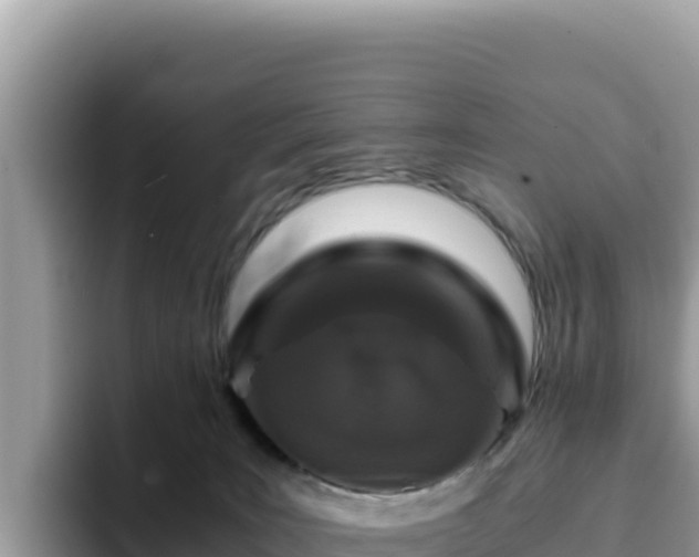 X0000093430035200710191035