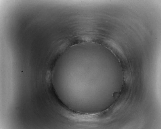 X0000093430036200710191035