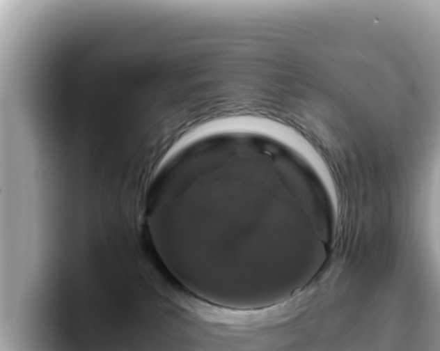 X0000093430039200710191035