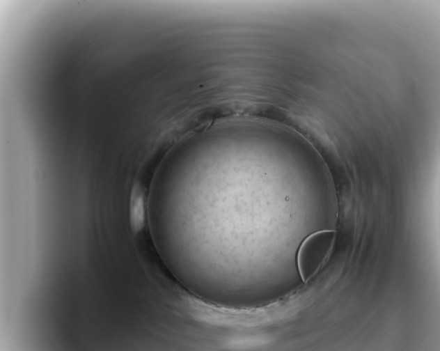 X0000093430042200710191035