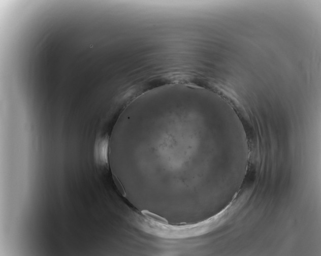 X0000093430047200710191035