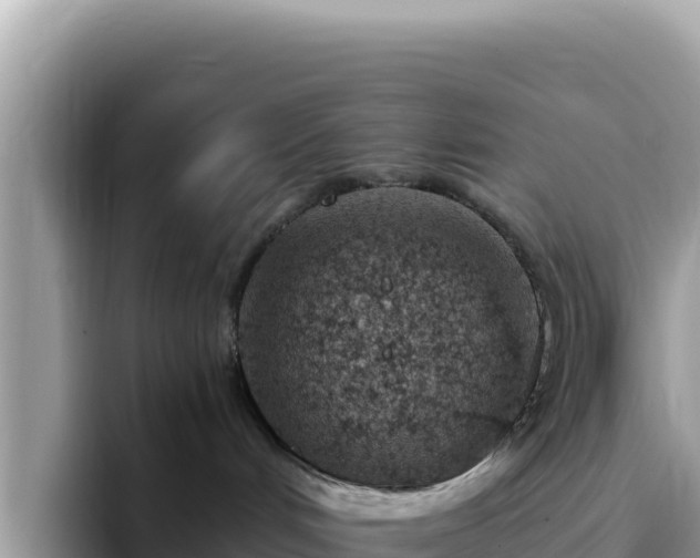 X0000093430048200710191035