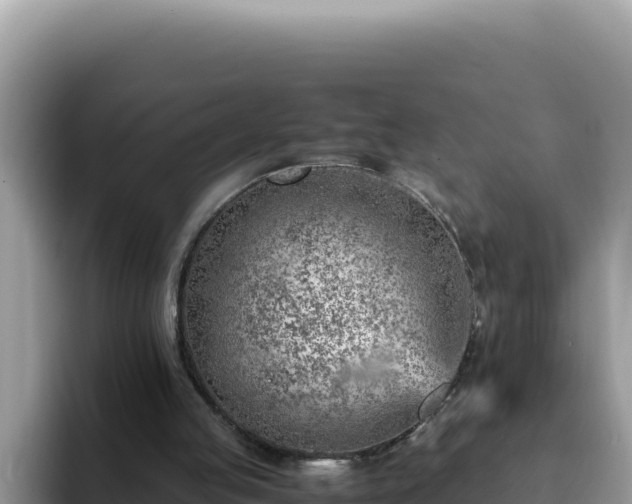 X0000093430053200710191034