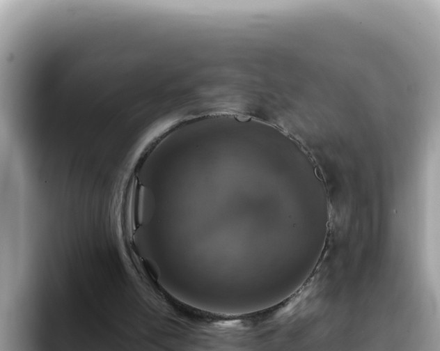 X0000093430054200710191034