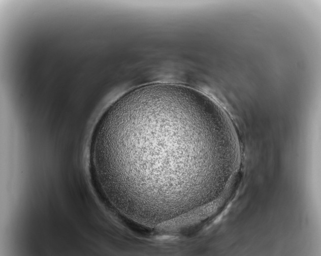 X0000093430055200710191035