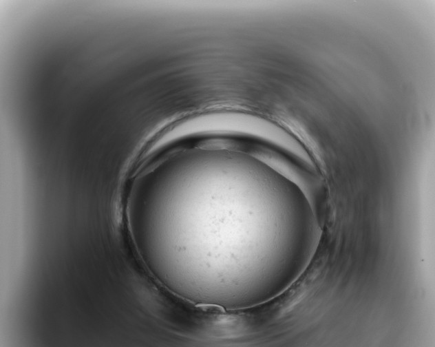 X0000093430060200710191035