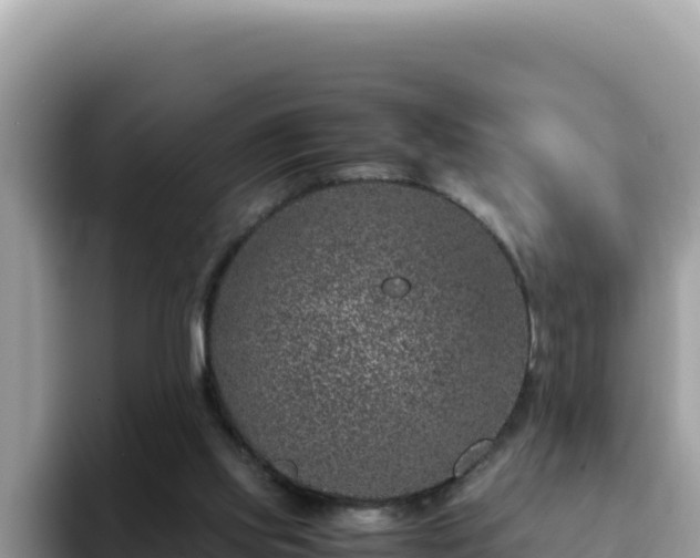 X0000093430061200710191035