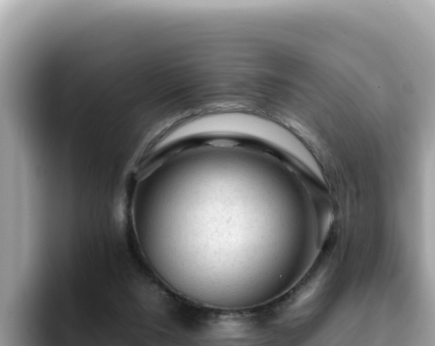 X0000093430064200710191035