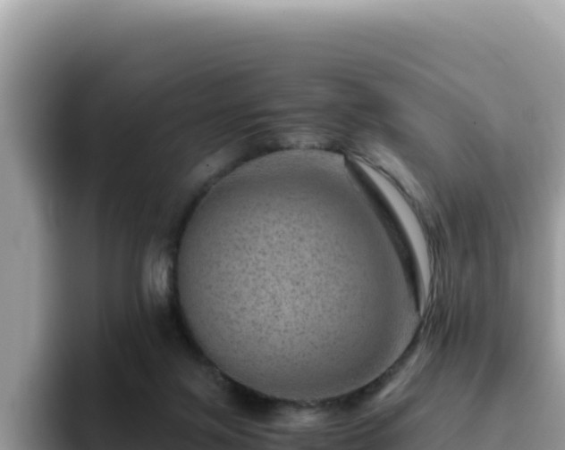 X0000093430071200710191035