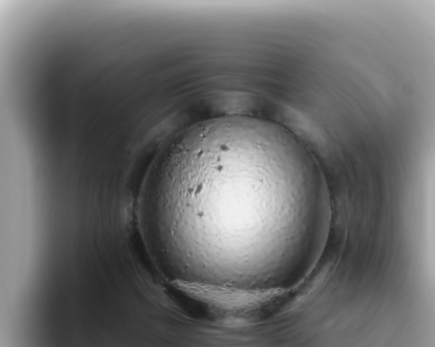 X0000093430073200710191035