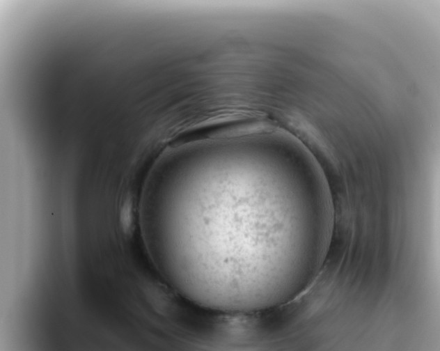 X0000093430074200710191035