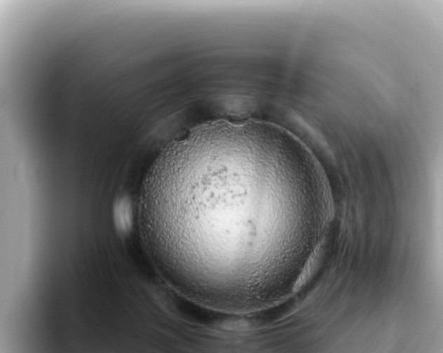 X0000093430075200710191035