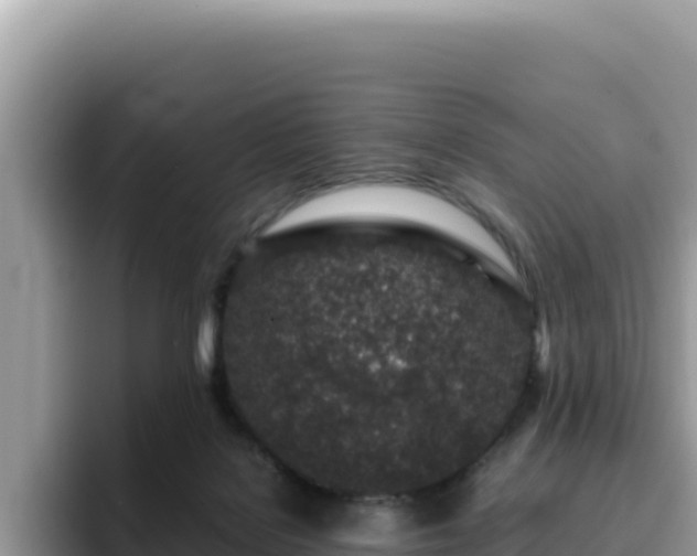 X0000093430076200710191035