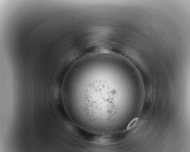 X0000093430078200710191035