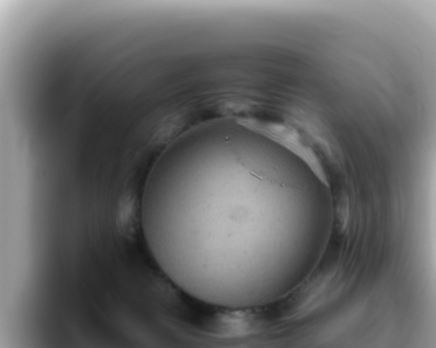X0000093430079200710191035