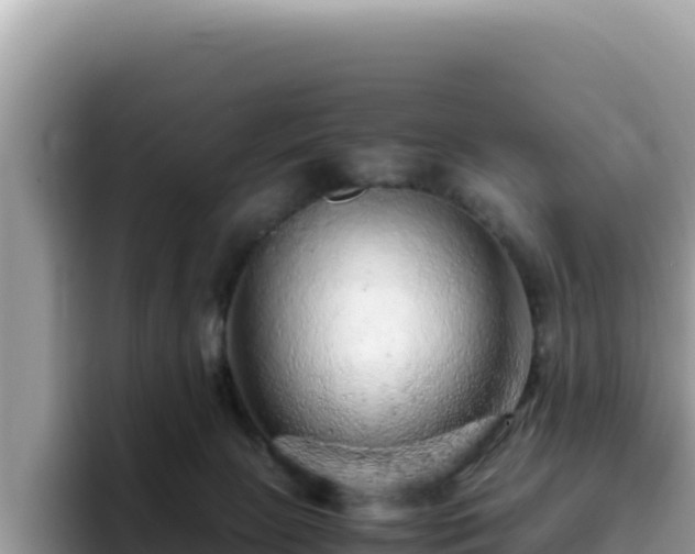 X0000093430081200710191035