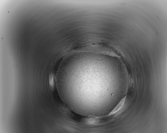 X0000093430094200710191035