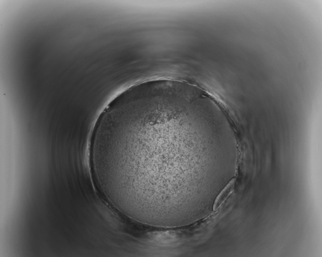 X0000093430100200710191034