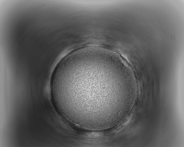 X0000093430102200710191034