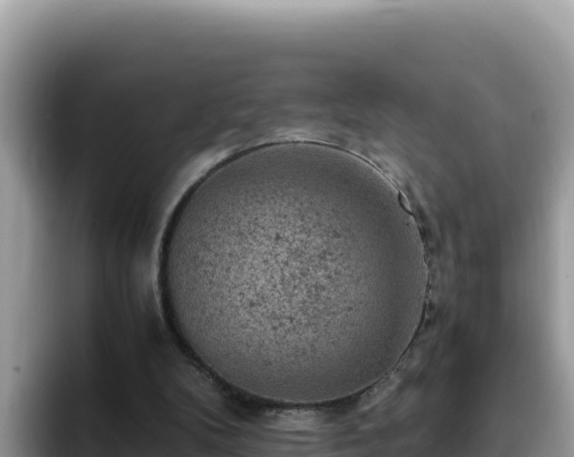 X0000093430104200710191034