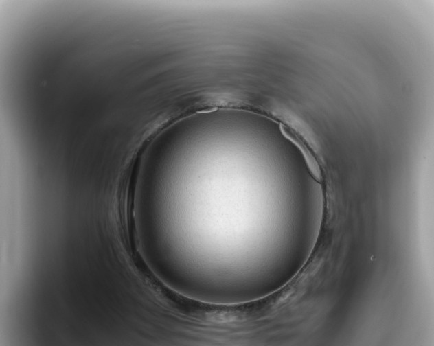 X0000093430105200710191034