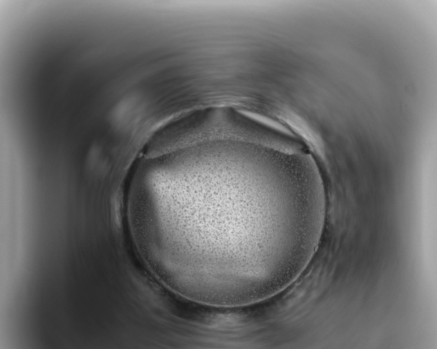 X0000093430107200710191034
