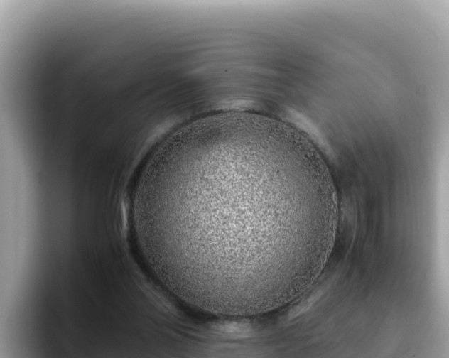 X0000093430110200710191034