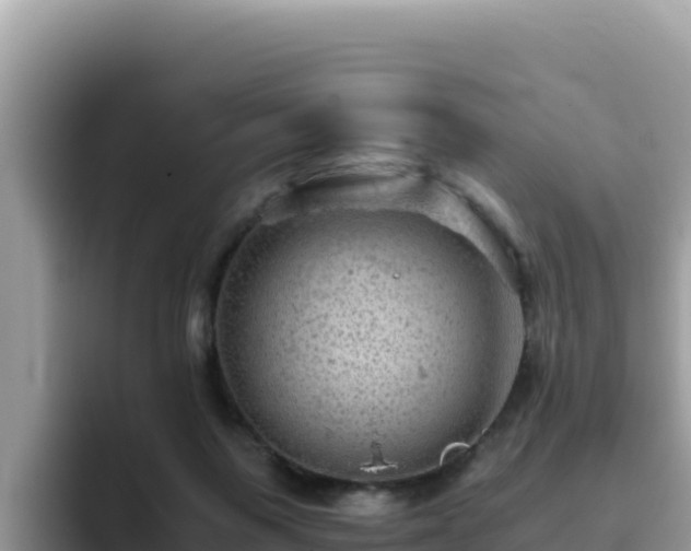 X0000093430119200710191034