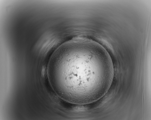 X0000093430123200710191034