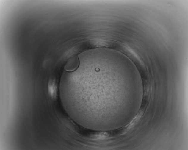 X0000093430124200710191034
