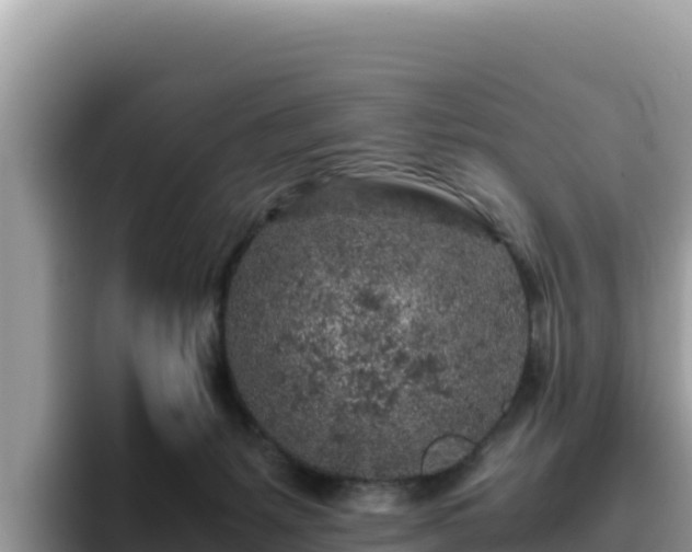 X0000093430127200710191034