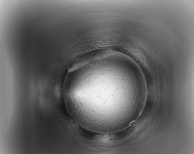 X0000093430131200710191034