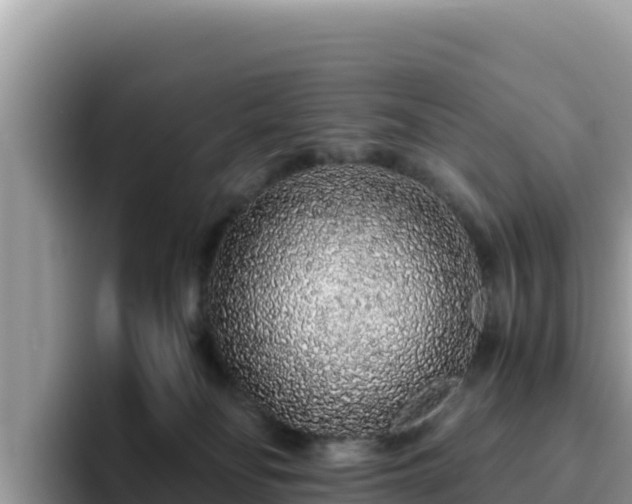 X0000093430134200710191034
