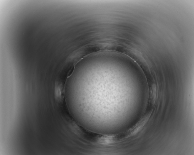 X0000093430138200710191034