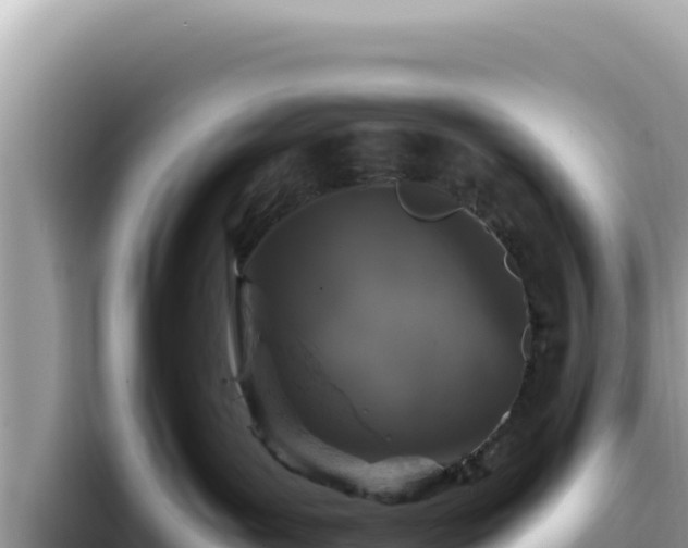 X0000093430143200710191034