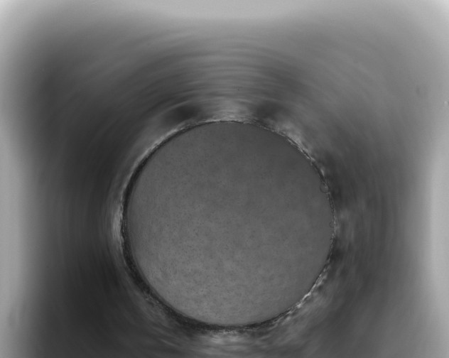 X0000093430146200710191033
