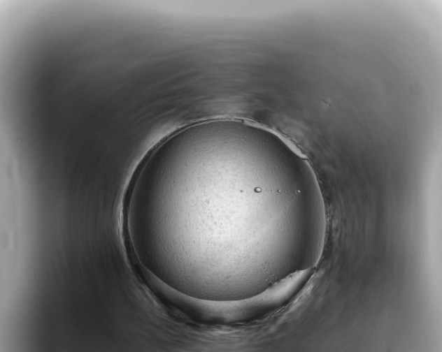 X0000093430148200710191033
