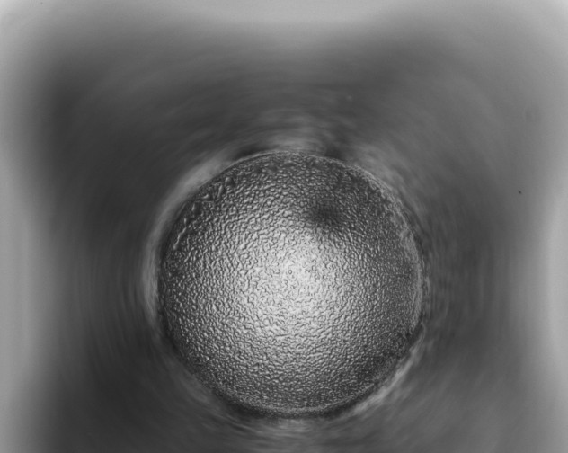 X0000093430149200710191033