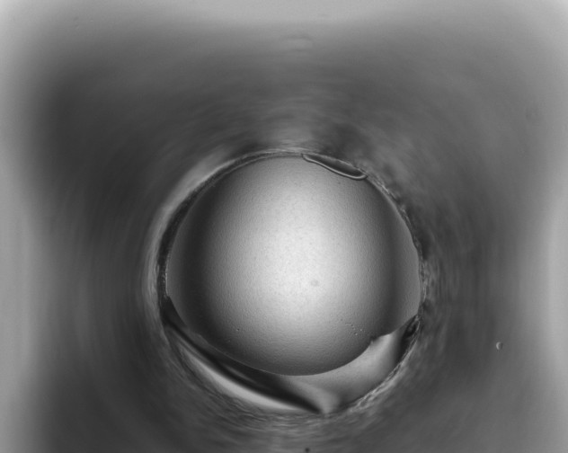 X0000093430150200710191033